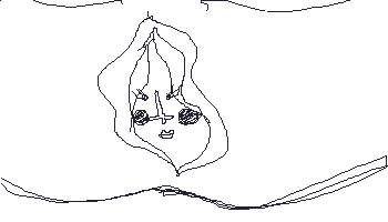 1005.gif