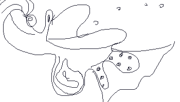 108.gif