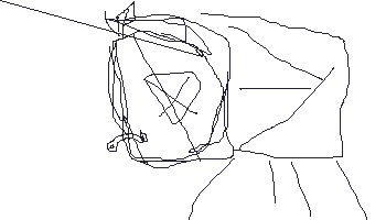 111.gif