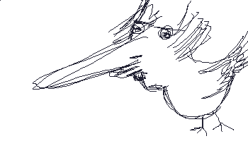 153.gif