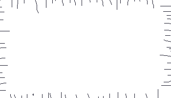 204.gif