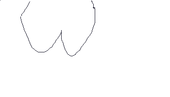 299.gif