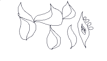 33.gif