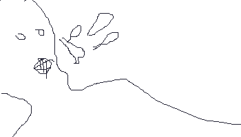 54.gif