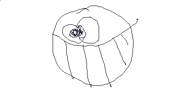 57.gif
