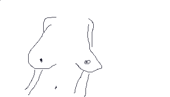 703.gif