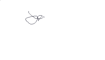 804.gif