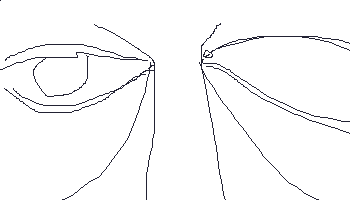 821.gif