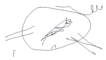 848.gif