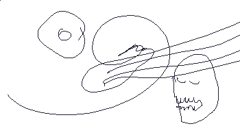 9.gif