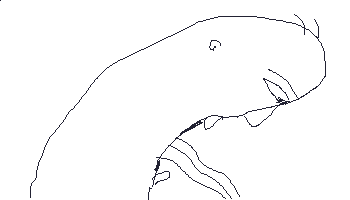 962.gif